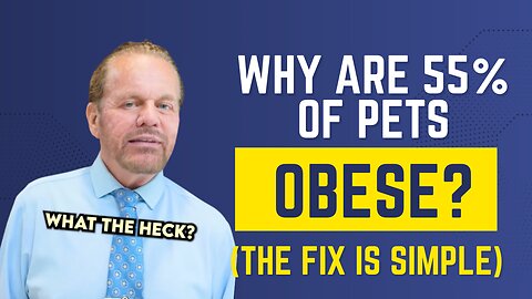 Why 55% of Pets Are Obese (And How to Fix It)