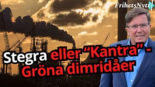 Är det gröna stålet redan på väg mot konkurs?” - Arne Weinz