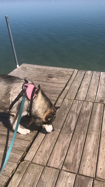 Monday, May 12 Genesis 23. 13, 14