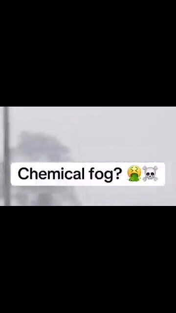 ChemFog 2025 - 41 Year Olds Are Noticing