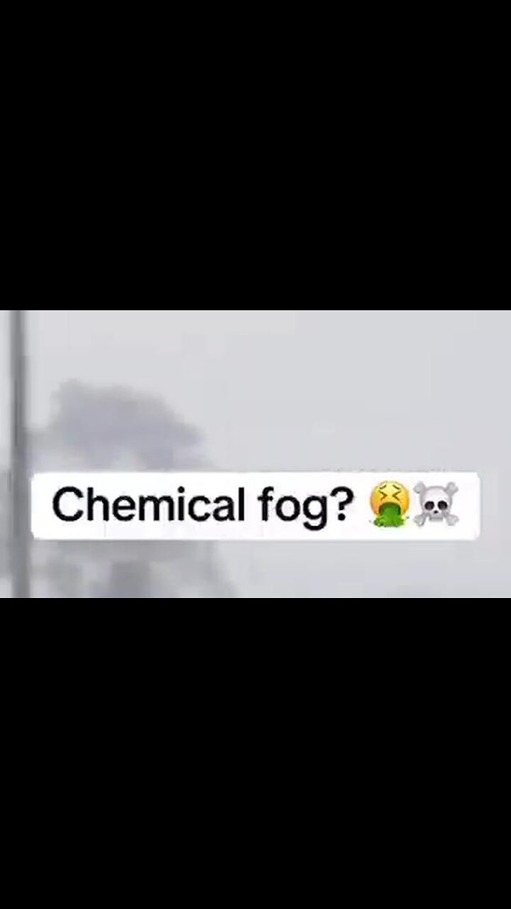 ChemFog 2025 - 41 Year Olds Are Noticing