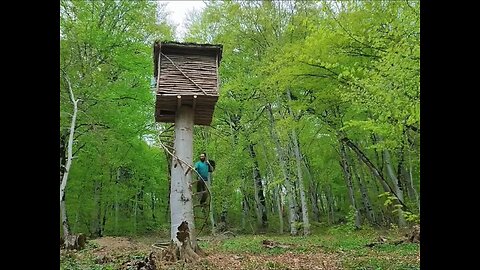 The guy spent 30 days to build a wooden house on a tree, the whole process is recorded