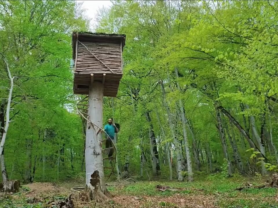 The guy spent 30 days to build a wooden house on a tree, the whole process is recorded