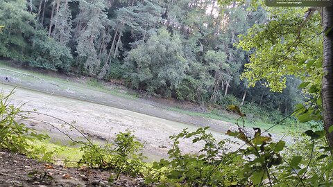 Monodruid (Live) Ardingly — Ardingly Reservoir — Session 1 (12th August, 2025)