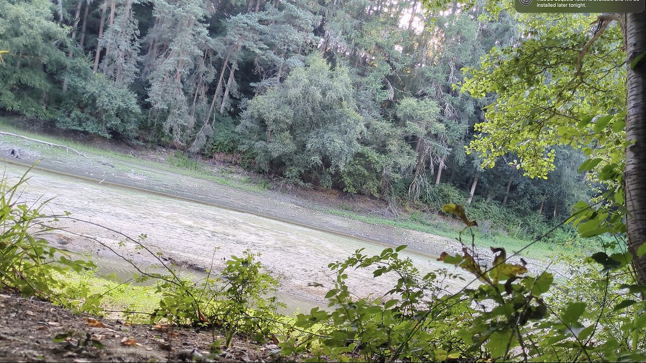 Monodruid (Live) Ardingly — Ardingly Reservoir — Session 1 (12th August, 2025)