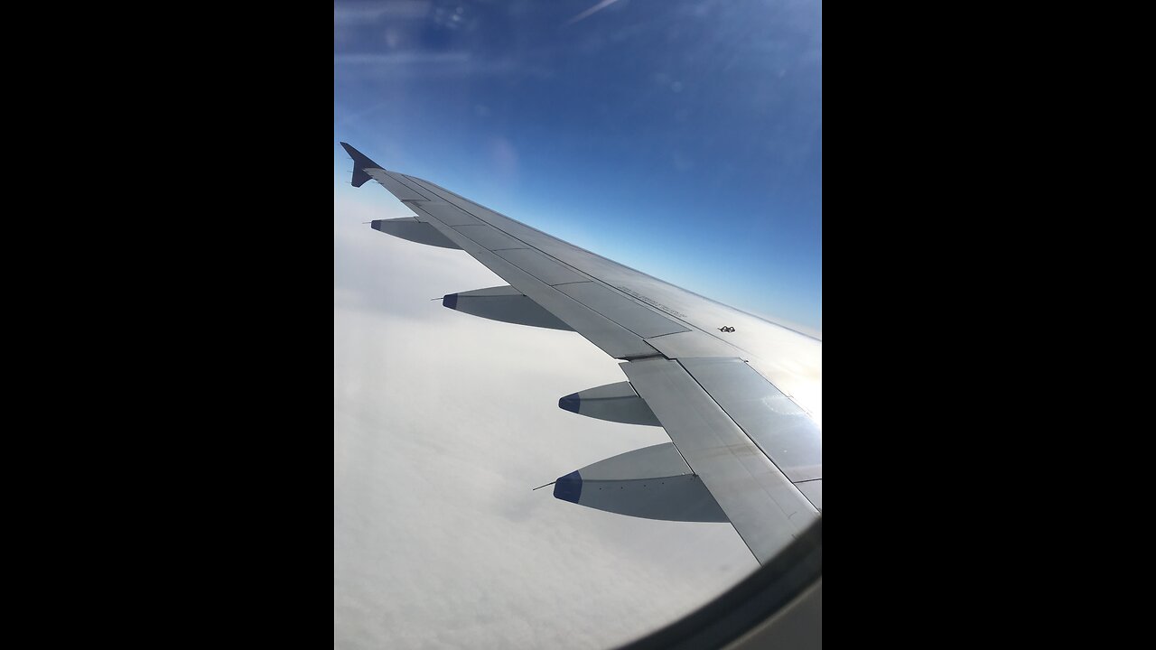 Friday stream2
