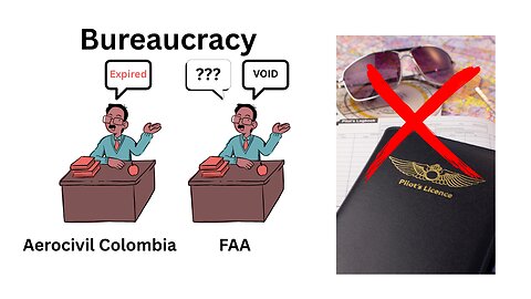 Bureaucracy Kills Dreams - Took away my Pilot's Licence