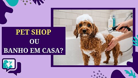 Banho em Casa ou Pet Shop: Economia ou Cuidado com Seu Pet?