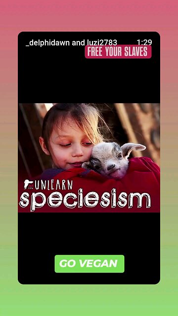 The word LIVESTOCK is a horrid construct 💔 Animals are not objects