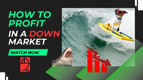 How to Profit in a Down Market!