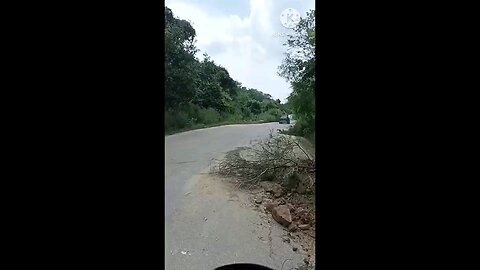 satisfying Video
