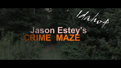 (CRIME MAZE 7) SMASHING THEIR NARRATIVE!