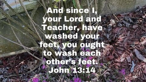 John 13:14