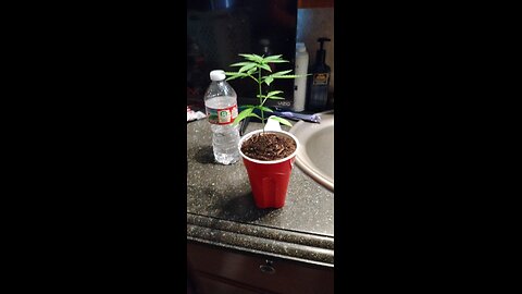 Change has for the plant and had to learn a lot quick