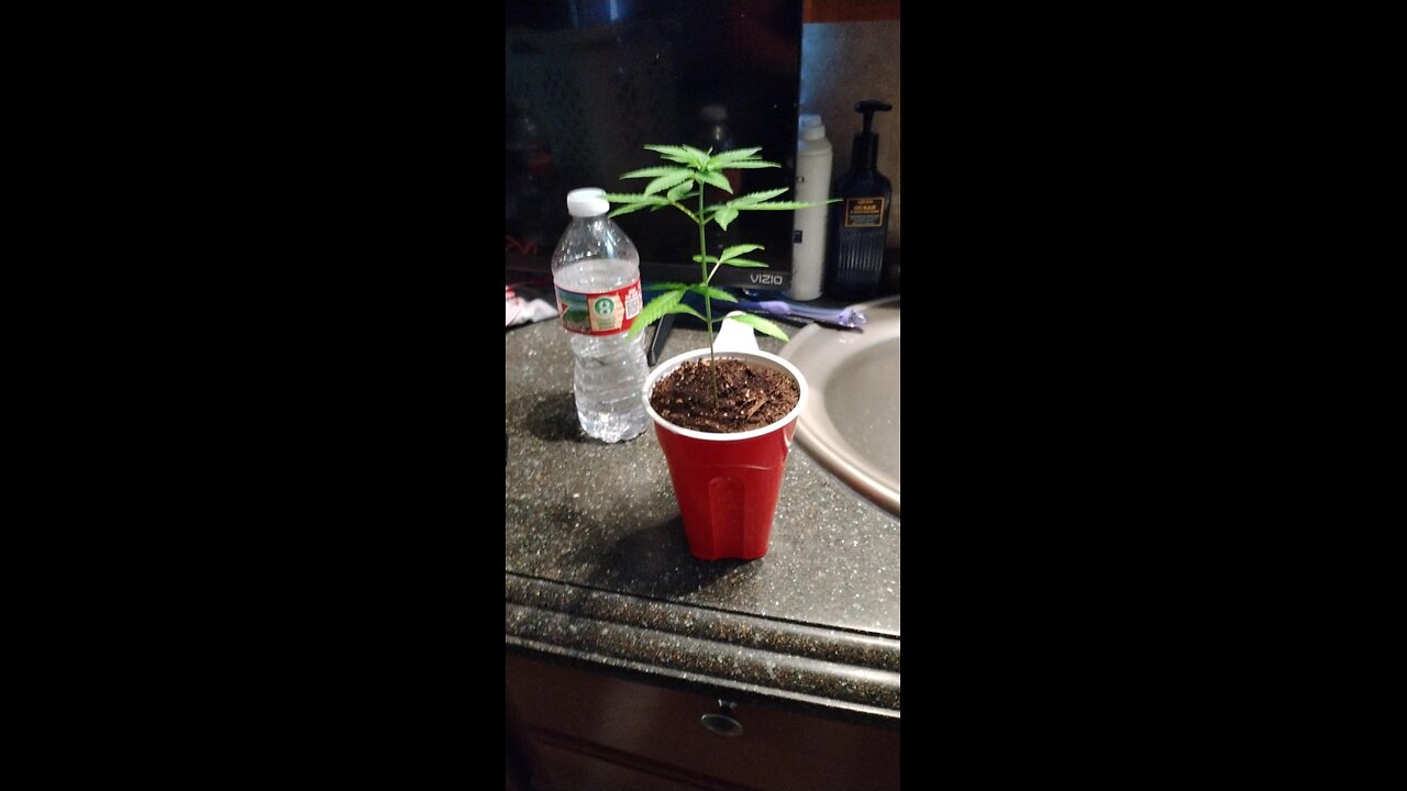 Change has for the plant and had to learn a lot quick