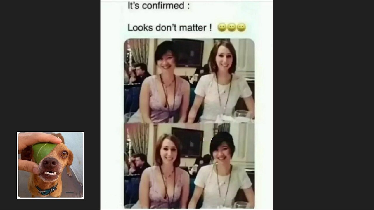 Meme compilation Episodes 271-275.