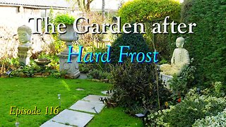 Garden Update: Hard Frost Hits! (What Survived?)