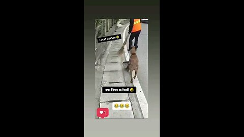 नगर निगम के कर्मचारी