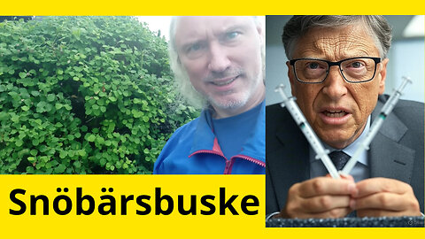 Iran stoppade israelisk falsk flagga i L.A.? AI*3. DMSO-vittnesmål. GAVI utfryst; Bill Gates rasande