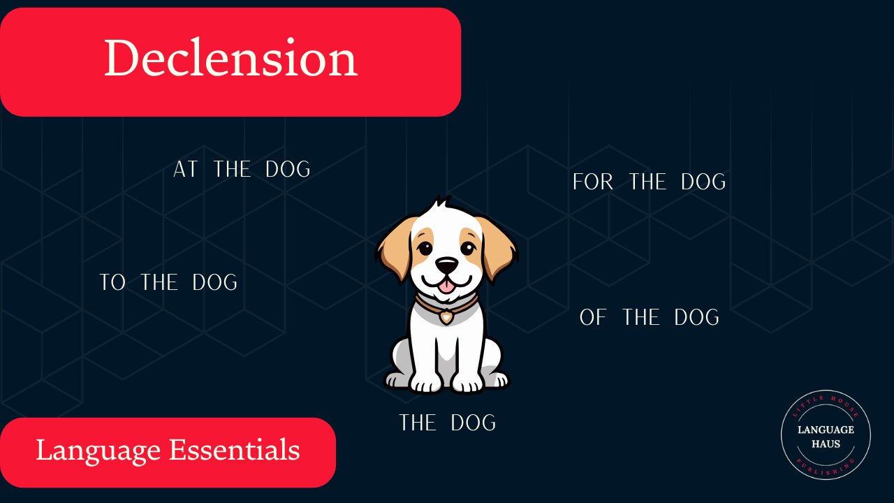 Declension and Cases - All You Need For Any Language