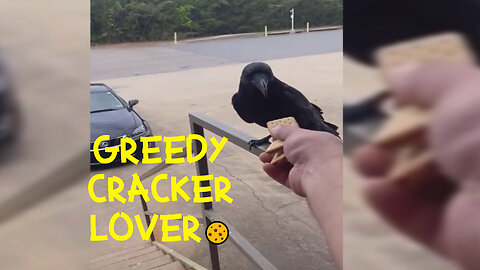 AMAZING friend is coming over for a bite!!!