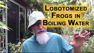 Normie Masses Are the Lobotomized Frogs in the Boiling Water Experiment: Perfect Analogy for Society