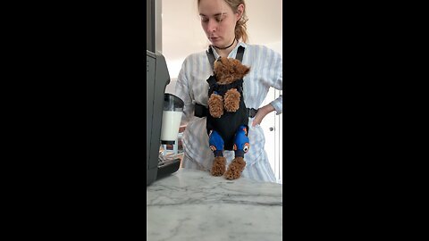 slow morning with my pup