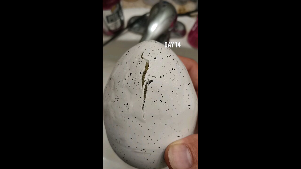 Hatching a dragon