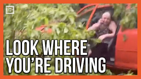 "You Alright?" Car Drives Straight Into a Fallen Tree
