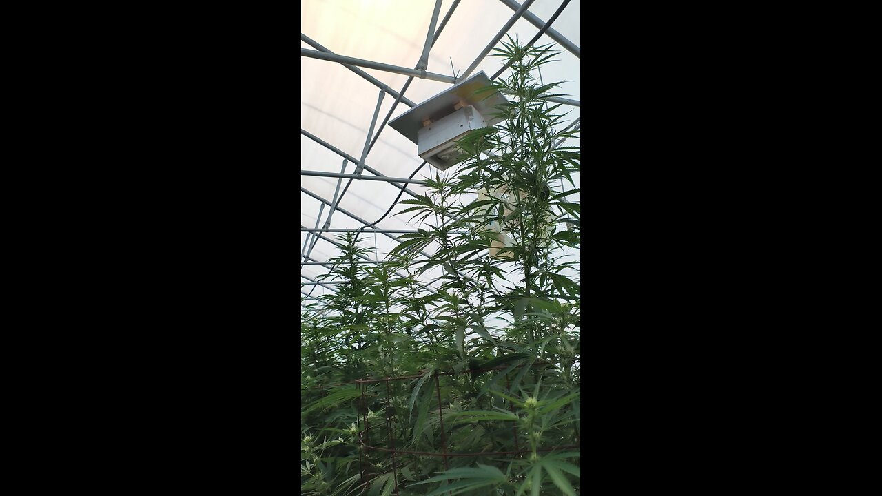 RIGHT PLACE RIGHT PLANTZ