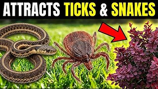 15 Plants That Secretly Invite Snakes And Ticks (Remove These Immediately) (Video)