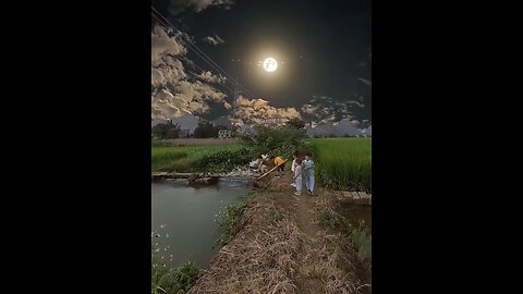 Beautiful MoonGood Night Status#shorts#nature#moonlight#shorts