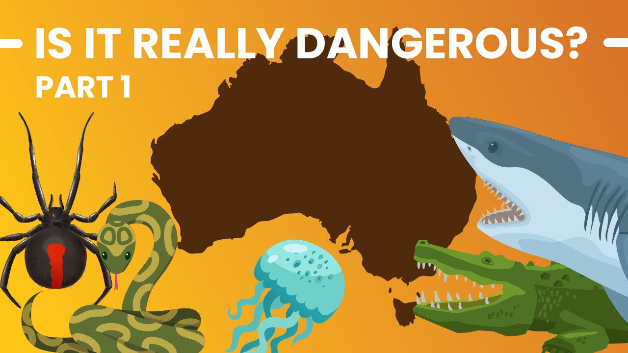 Is Australia Really That Dangerous?