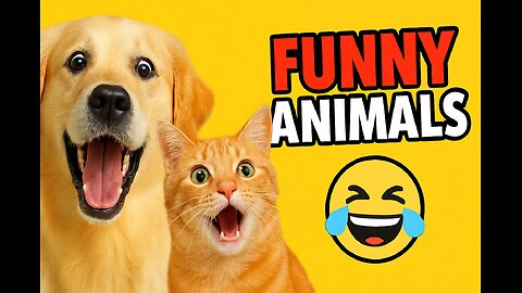 🐕 Funny Animals Doing Crazy Things