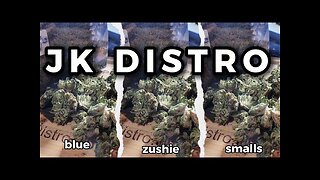 BLUE ZUSHI SMALLS from JK DISTRO