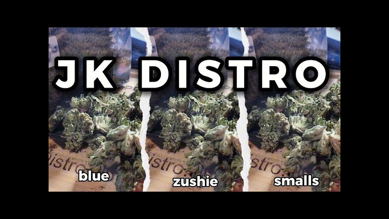 BLUE ZUSHI SMALLS from JK DISTRO