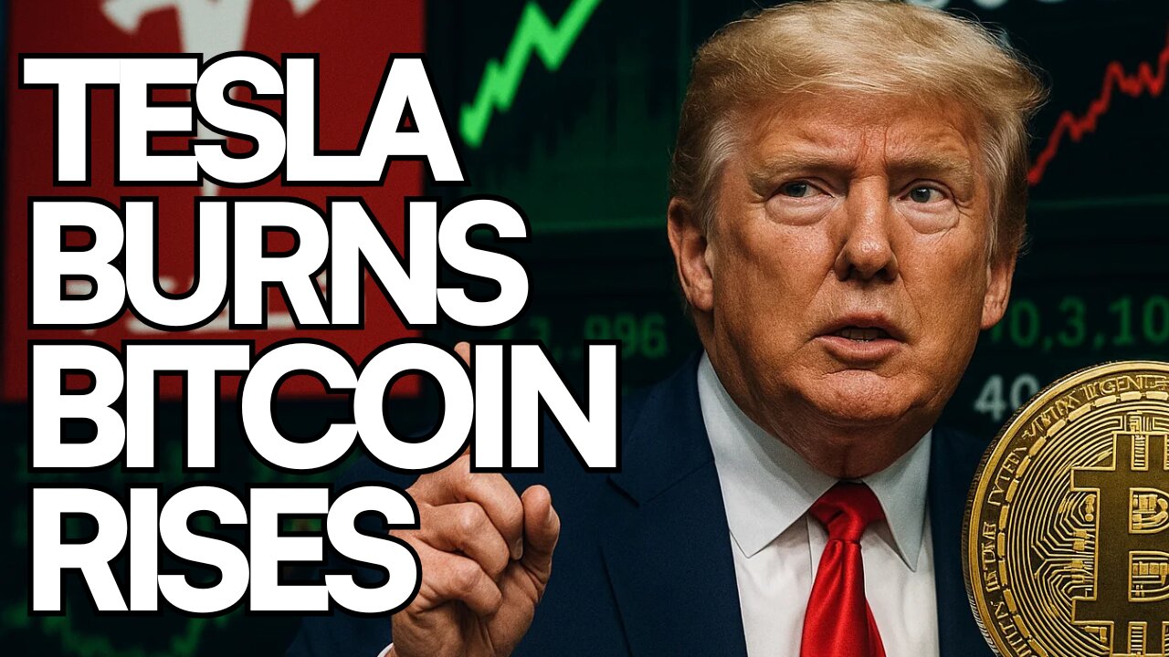 Tesla Shorts Burn, BTC Hits $95K, and Trump Sparks Market Surge | Market Radar