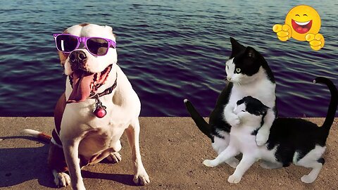 2025’s Funniest Dogs & Cats 😂 You Won’t Stop Laughing! | You Laugh You lose 😍😸😹 #Ep36