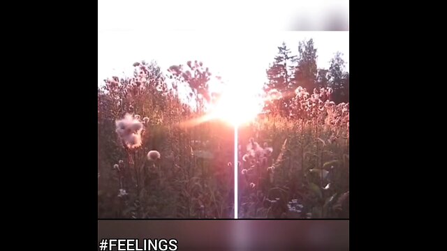 FEELINGS The Healing Journey