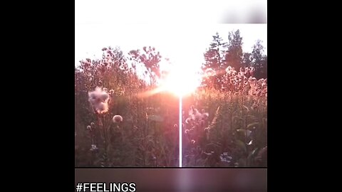 FEELINGS The Healing Journey