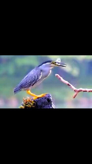 REKINDLING THE FLAME OF MINISTRY - DAILY DEVOTIONAL ❤️