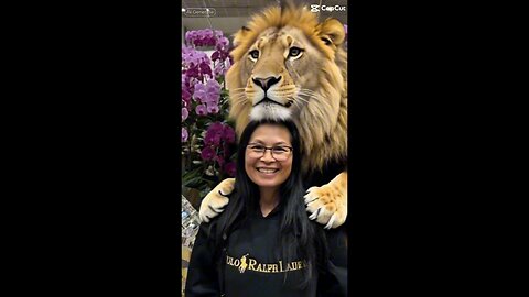Omruthai & Lion King