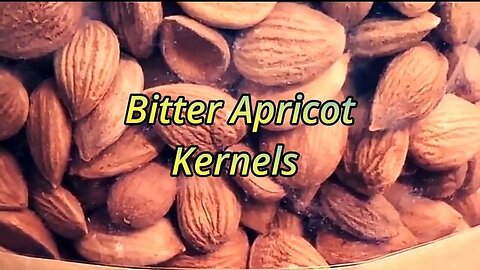 APRICOT SEEDS -- SUPER DOOPER SUPER FOOD WITH PURPORTED CANCER CURING PROPERTIES ❤️
