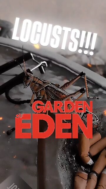 Witchcraft SPACE MONKEY 😡