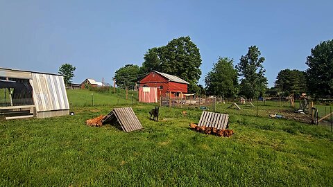 June Barn Opening! _ Homestead Updates // Whitt Acres