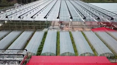 "Exploring China's Revolutionary Farming Techniques: Beyond Dutch Innovation"