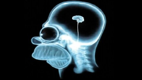 Halo 2 Lockout 1v1- fantasma vs Pea Brain