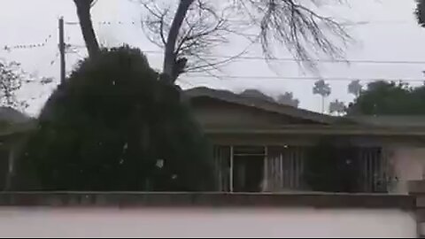 Snow in South Texas. 🌨️