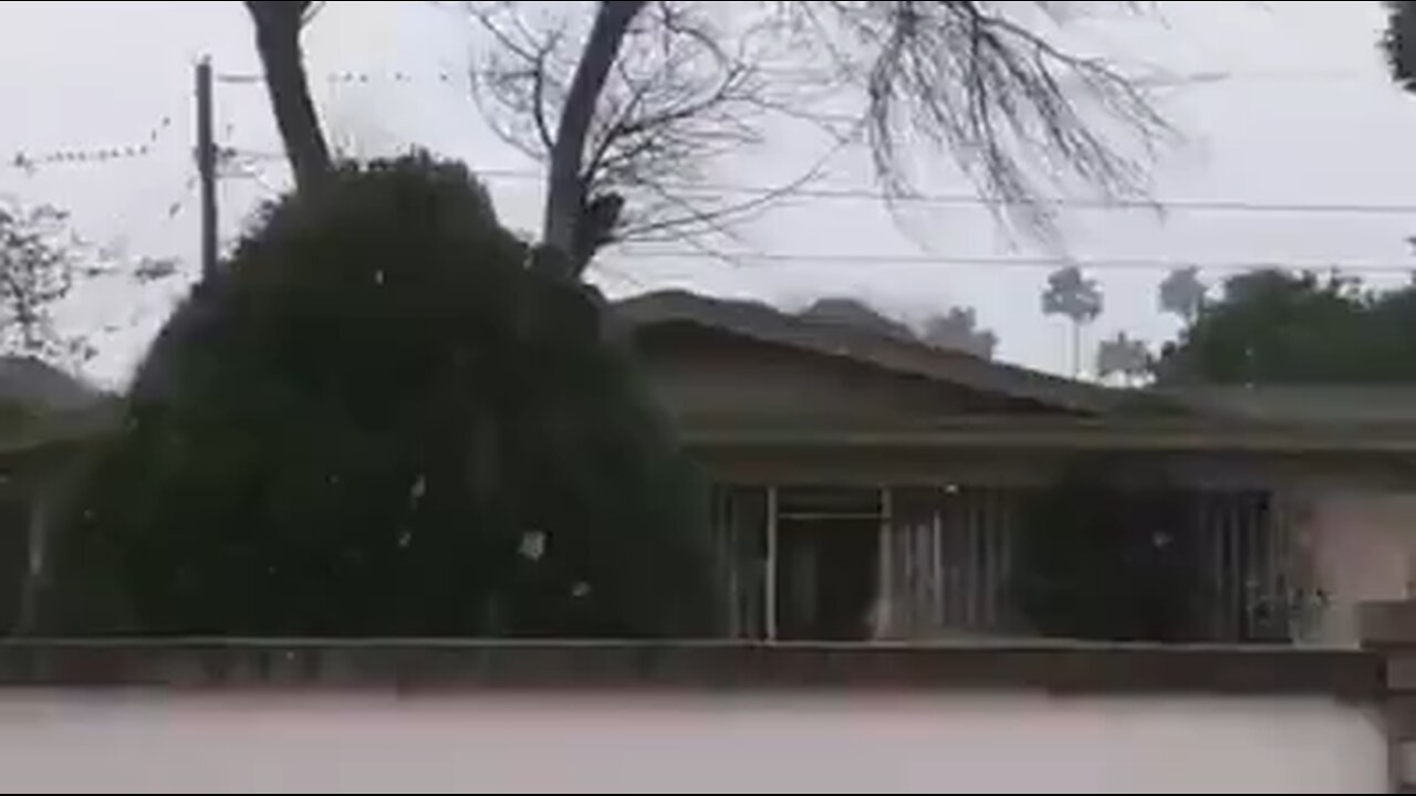 Snow in South Texas. 🌨️