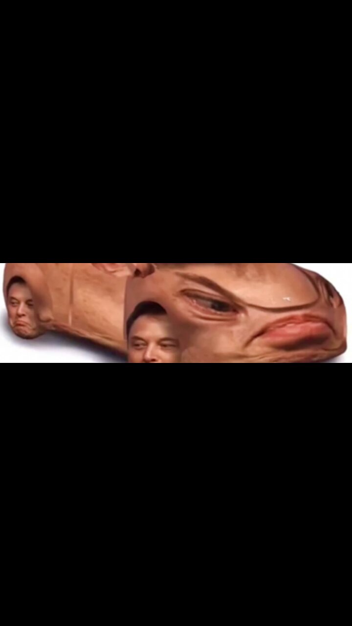 ((BITCHUTE-RUMBLE EXCLUSIVE SERIES))-OFFENSIVE MEMES- BEST OF 4CHAN GIFYLYL VOL-284